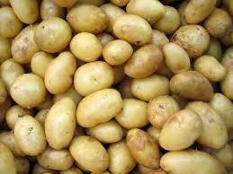 potato 1